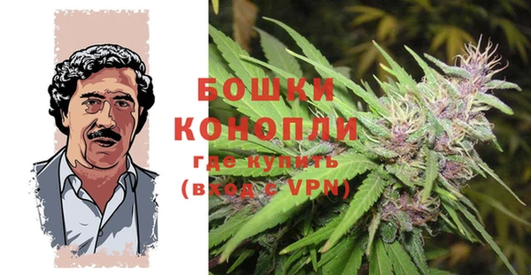 ПСИЛОЦИБИНОВЫЕ ГРИБЫ Волоколамск