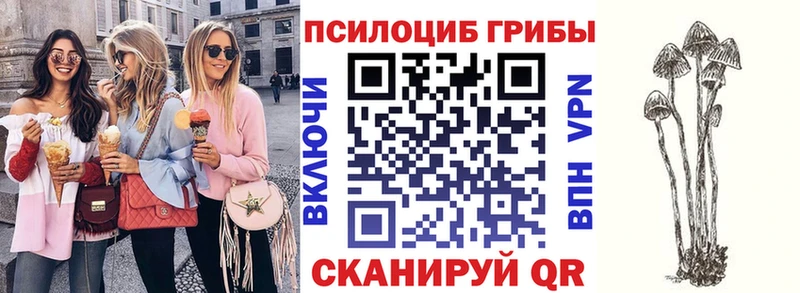 Галлюциногенные грибы Magic Shrooms даркнет сайт Полысаево
