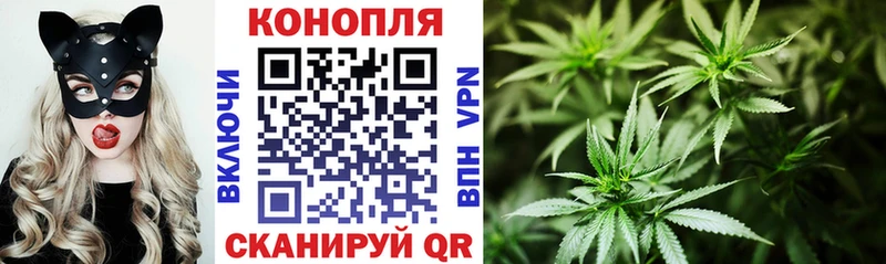 Бошки Шишки MAZAR  Полысаево 